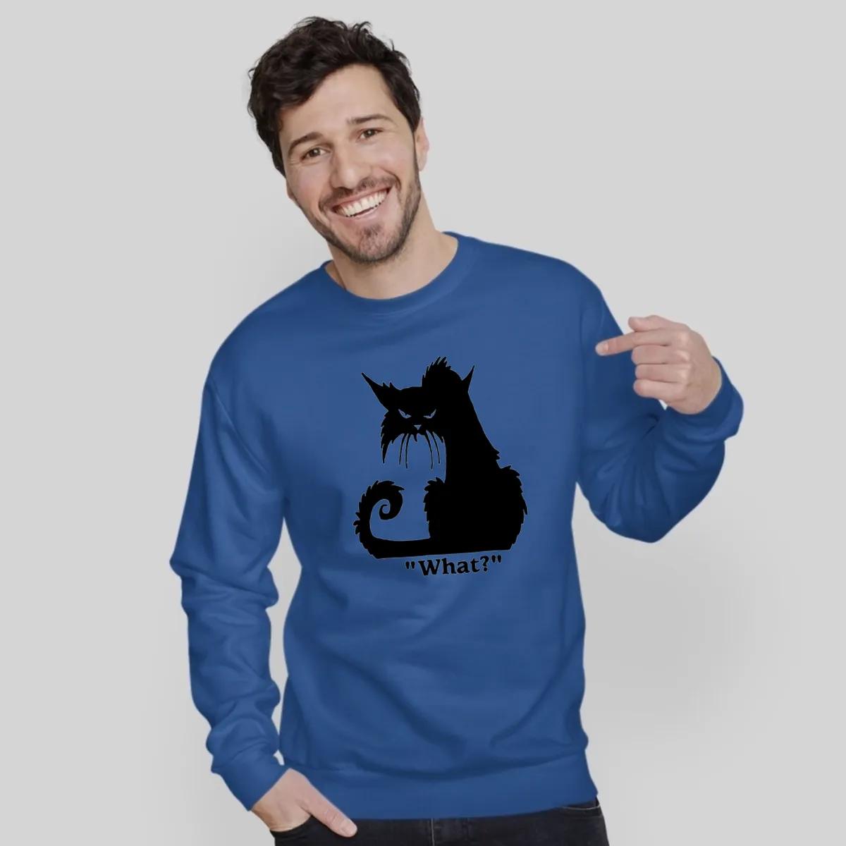 Angry Black Cat What