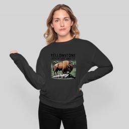Yellowstone Adventure Awaits