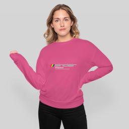 Zx Spectrum Logo