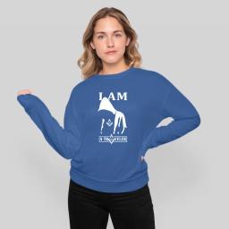 I Am A Traveler