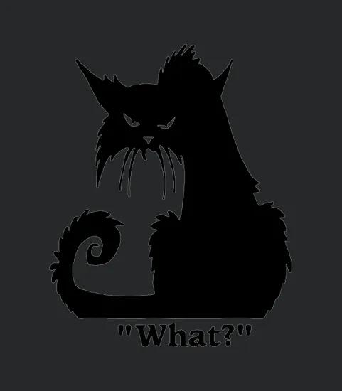 Angry Black Cat What