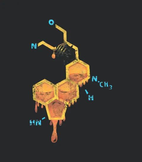 Lsd Honey Funny