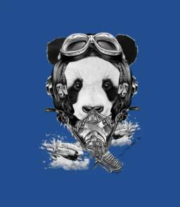 Panda Pilot World War Ii