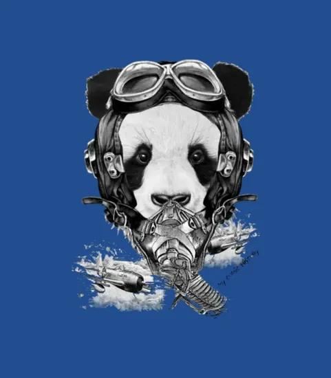 Panda Pilot World War Ii