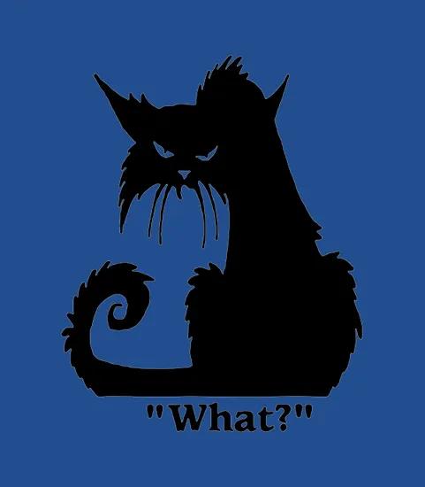 Angry Black Cat What