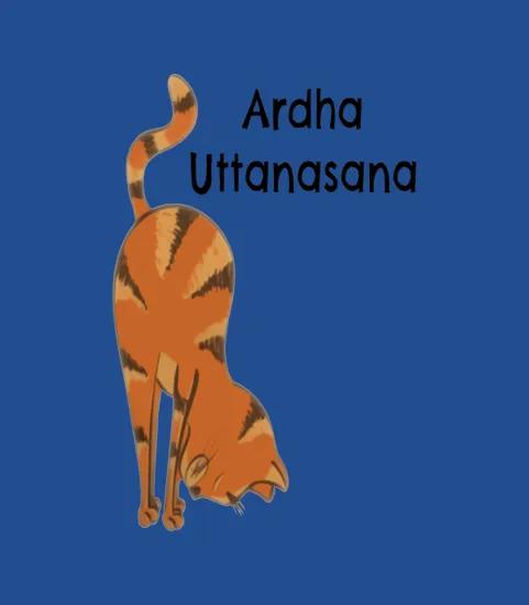 Funny Yoga Cat Woman