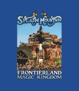 Splash Mountain Magic Kingdom