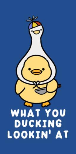 What You Ducking Lookin