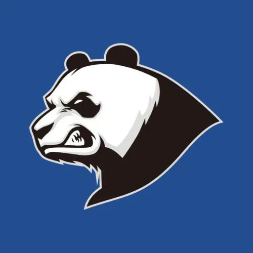 Darth Panda 101 Logo