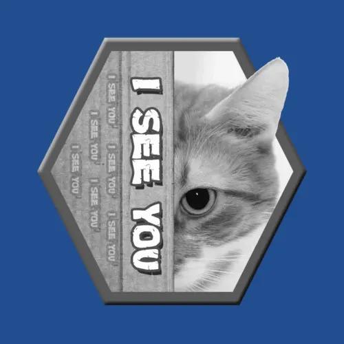 I See You Cat Design