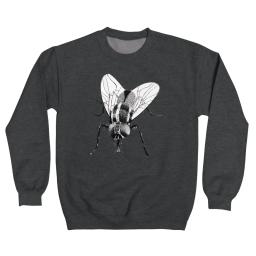Black Fly Insect