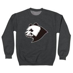 Darth Panda 101 Logo