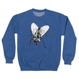 Black Fly Insect