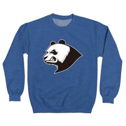 Darth Panda 101 Logo