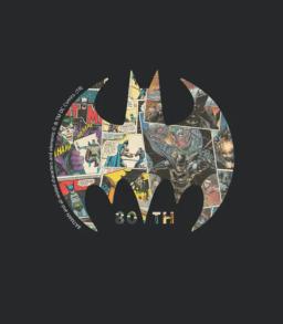 Batman 80 Years Comic