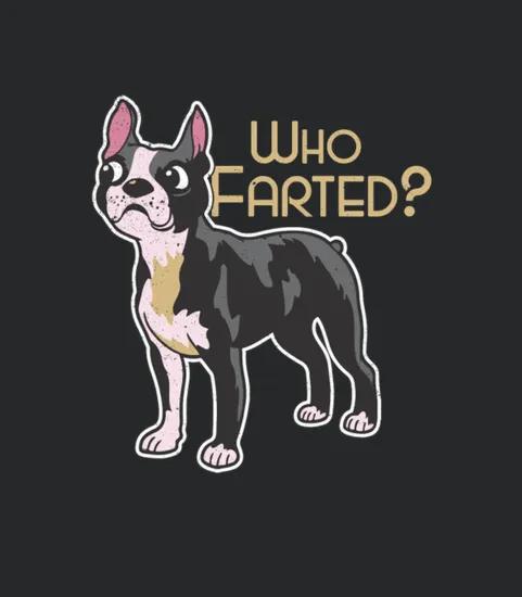 French Bulldog Who Farted