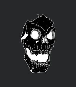 Terror Skull Illustration
