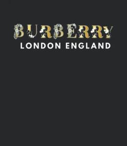 Burberry Shirt