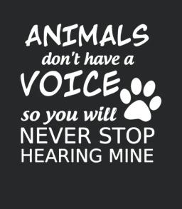 Animals Dont Have A Voice