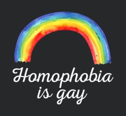 Homophobia Is Gay