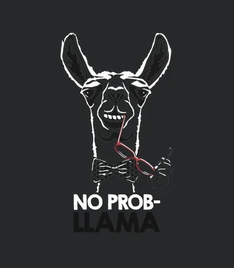 No Probllama