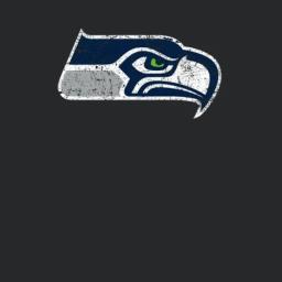 Seattle Seahawks 2 Distressed