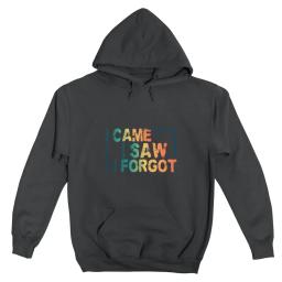 I Came I Saw I Forgot