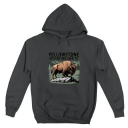 Yellowstone Adventure Awaits