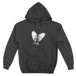 Black Fly Insect