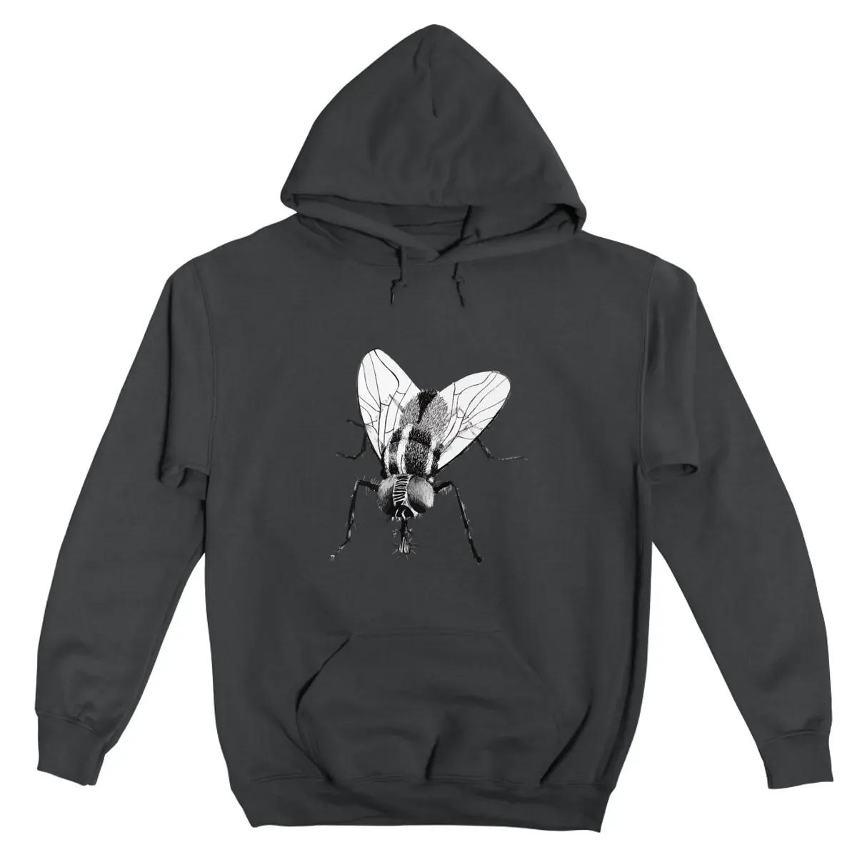Black Fly Insect