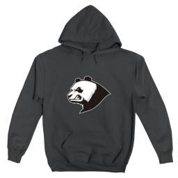 Darth Panda 101 Logo