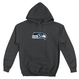 Seattle Seahawks 2 Distressed