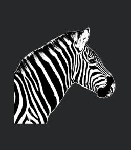 Zebra Head
