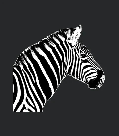 Zebra Head