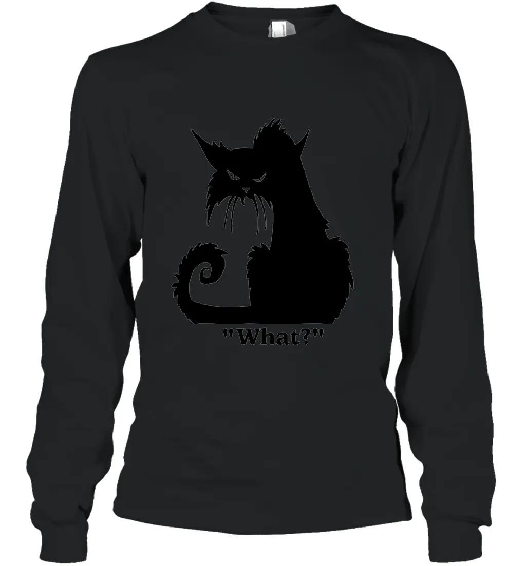 Angry Black Cat What