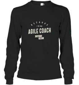 Agile Coach Job Occupation