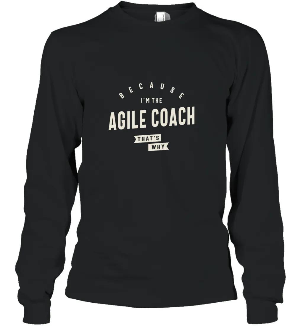 Agile Coach Job Occupation