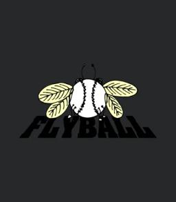 Flyball Softball Baseball