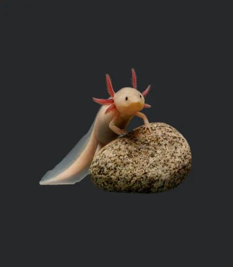 Axolotl Essential Classic