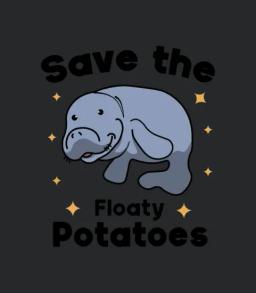 Save The Floaty Potato