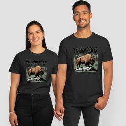 Yellowstone Adventure Awaits