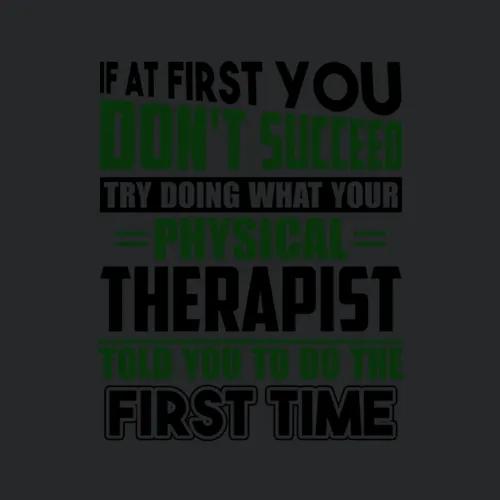 Physical Therapist