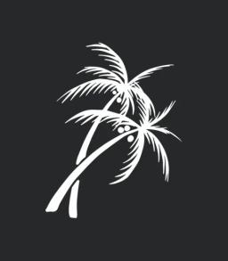 Palm Trees With Coconut