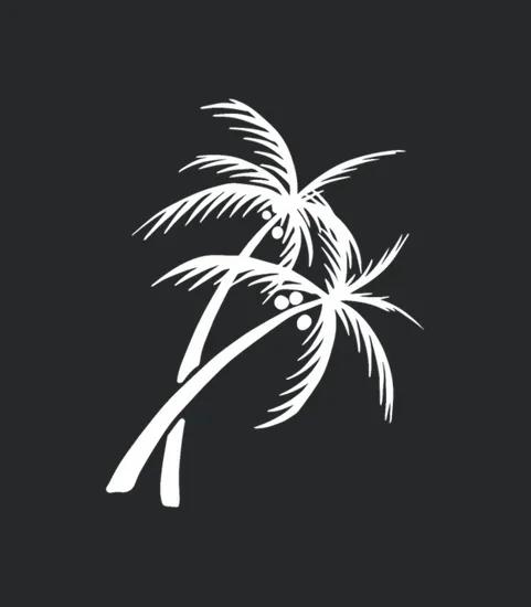 Palm Trees With Coconut