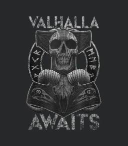 Skull Valhalla Awaits Viking