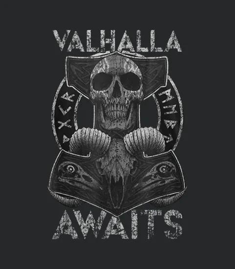 Skull Valhalla Awaits Viking