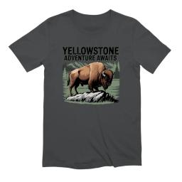 Yellowstone Adventure Awaits
