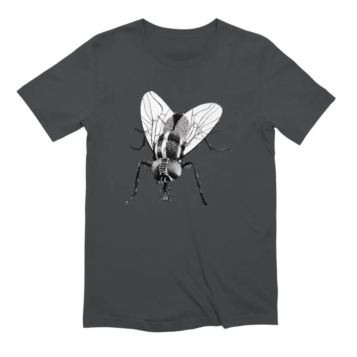 Black Fly Insect