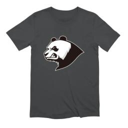 Darth Panda 101 Logo
