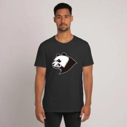 Darth Panda 101 Logo
